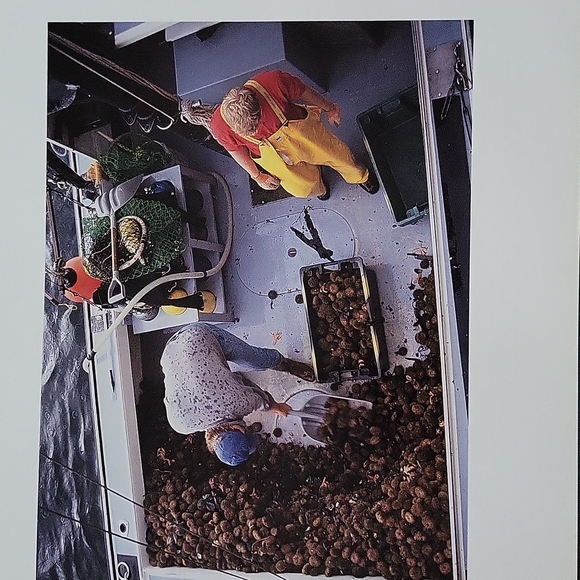 Down The Shore The Faces Of Maine's Coastal Fisheries By Nancy Trueworthy 2003 - Picture 10 of 14